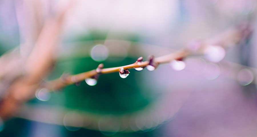 Spannendes im Februar