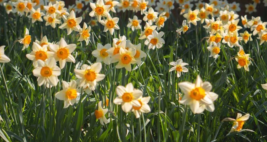 Neues im April